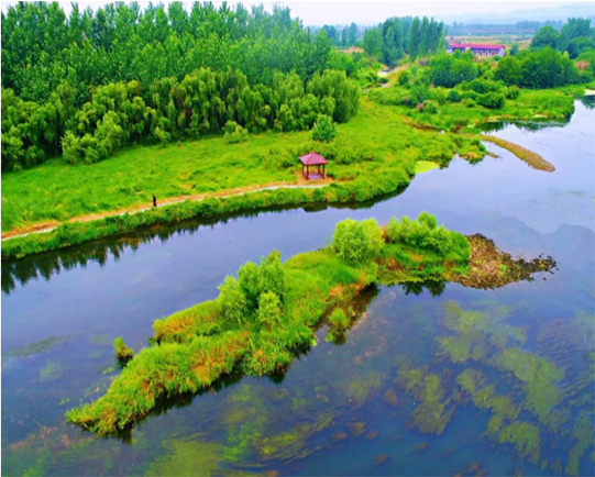 “沮漳河湿地公园”工程实景