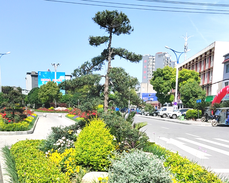 董市集镇美丽节点生态建设项目（枝江市董市镇心连心广场改造项目）