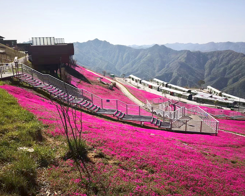 湖北武陵山旅游开发有限公司北风垭森林康养项目土建工程